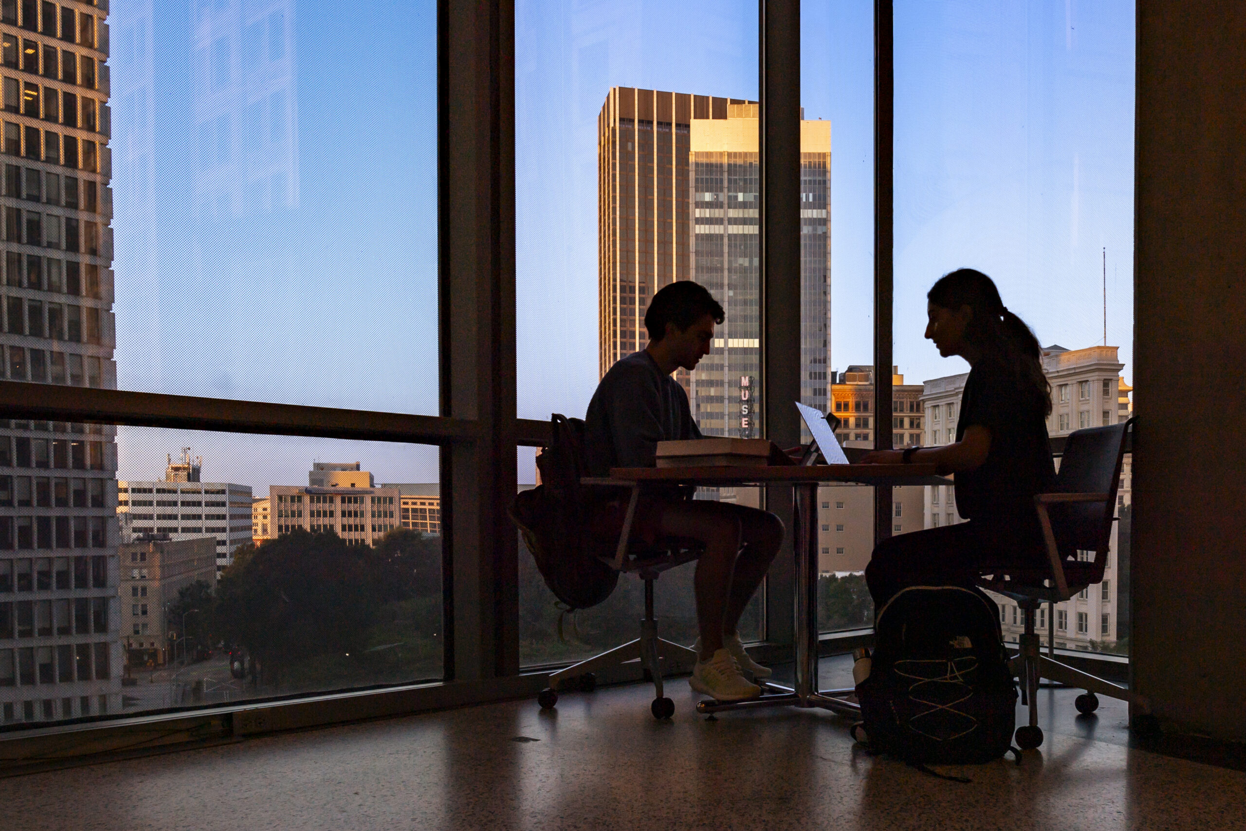 Blending Networks: Insights Into Students’ Career Advice‑Seeking Behaviors